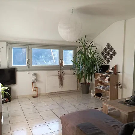 Bed & Breakfast Le Zen, Location Privative, Proche Mulhouse