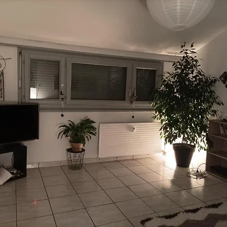 Le Zen, Location Privative, Proche Mulhouse